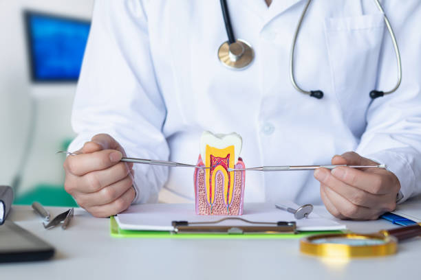 Best Emergency Dental Care for Abscessed Tooth in Linglestown, PA